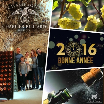 Voeux 2016,  Champagne Charlier billiard