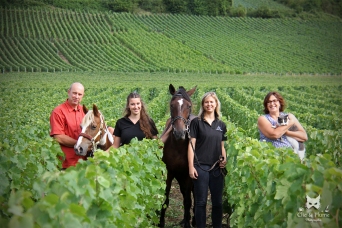 Une ménagerie dans les vignes ! Laurent + Etoile, Marion + Nedji + Alexandra, Valérie + Leo du Champagne Liebart-Regnier à Baslieux sous Châtillon.